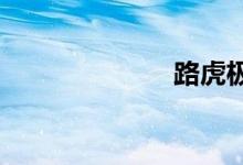 路虎极光怎么样