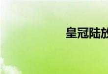 皇冠陆放的驾驶测评