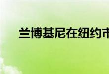 兰博基尼在纽约市开设私人贵宾休息室