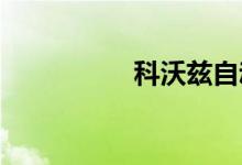 科沃兹自动启停怎么关