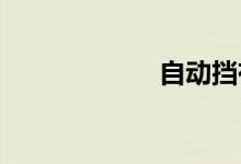 自动挡有几个档位
