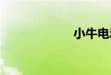 小牛电动车怎么样