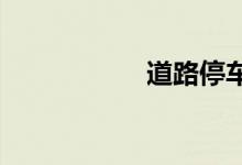 道路停车记录告知单
