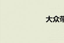 大众带字母的车