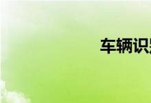 车辆识别代号查询