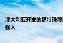 澳大利亚开发的福特珠穆朗玛峰七座越野车的外观和功能更强大