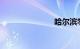 哈尔滨学院路