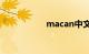 macan中文名叫什么