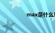 max是什么意思车上的