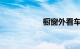 橱窗外看车的小男孩