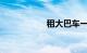 租大巴车一天多少钱