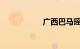 广西巴马瑶族自治县