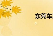 东莞车牌是粤什么
