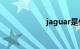 jaguar是什么牌子
