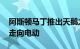 阿斯顿马丁推出天鹅之歌V12 Vantage然后走向电动