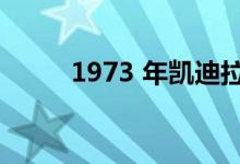 1973 年凯迪拉克轿车的驾驶测评