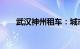 武汉神州租车：城市出行的便捷之选